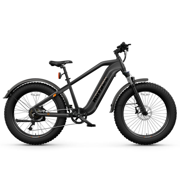 HOVSCO HovAlpha fat-tire e-bike, Step-Over frame in Dark Grey